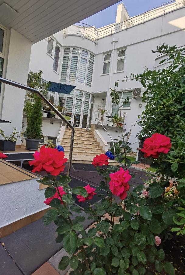 Fitness House With Garden Ξενοδοχείο Κονστάντζα Εξωτερικό φωτογραφία