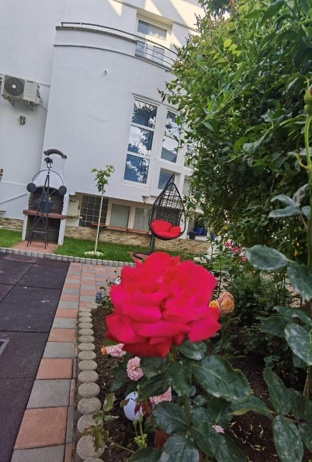 Fitness House With Garden Ξενοδοχείο Κονστάντζα Εξωτερικό φωτογραφία