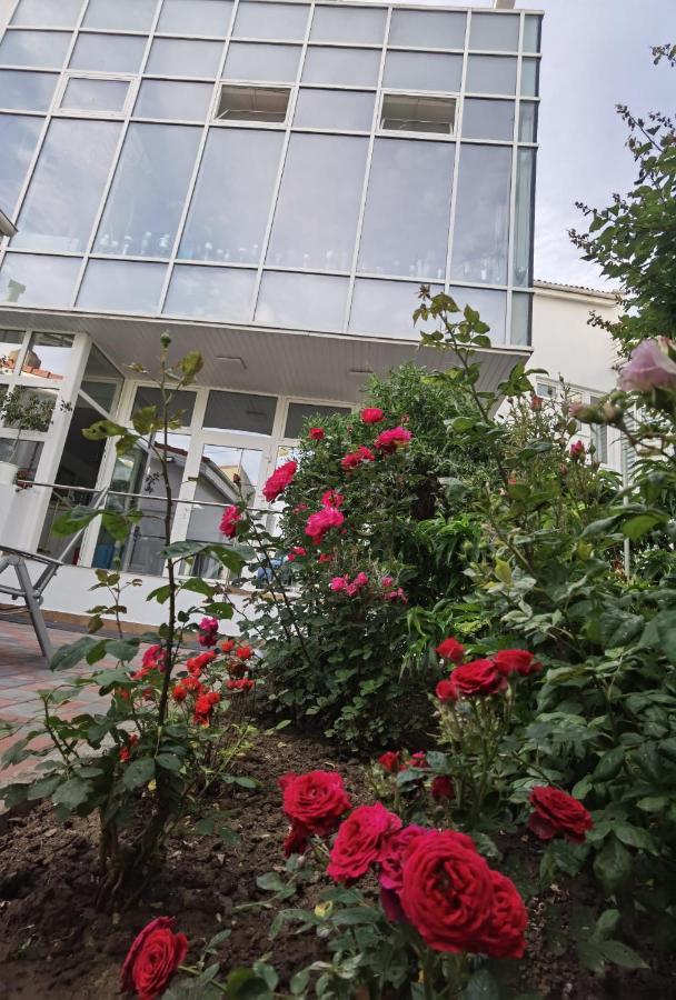 Fitness House With Garden Ξενοδοχείο Κονστάντζα Εξωτερικό φωτογραφία
