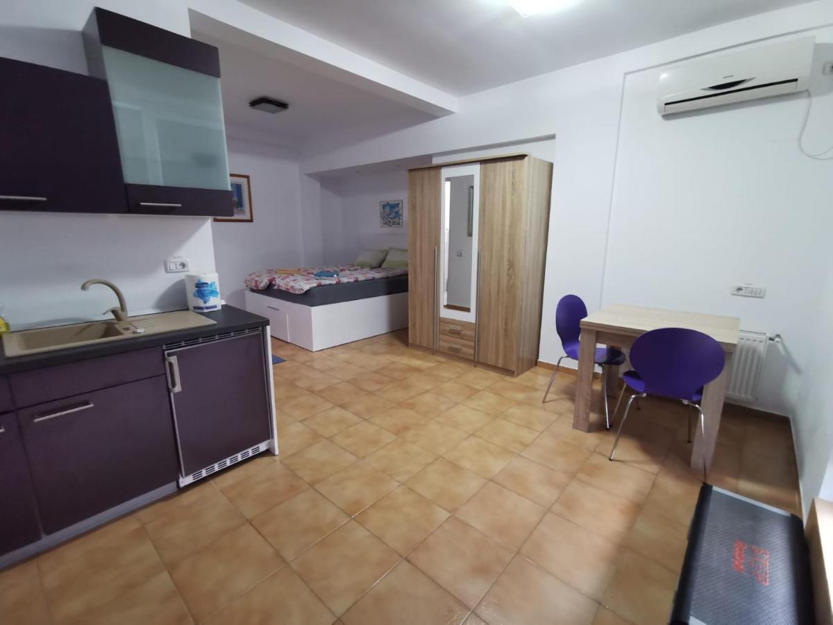 Fitness House With Garden Ξενοδοχείο Κονστάντζα Εξωτερικό φωτογραφία