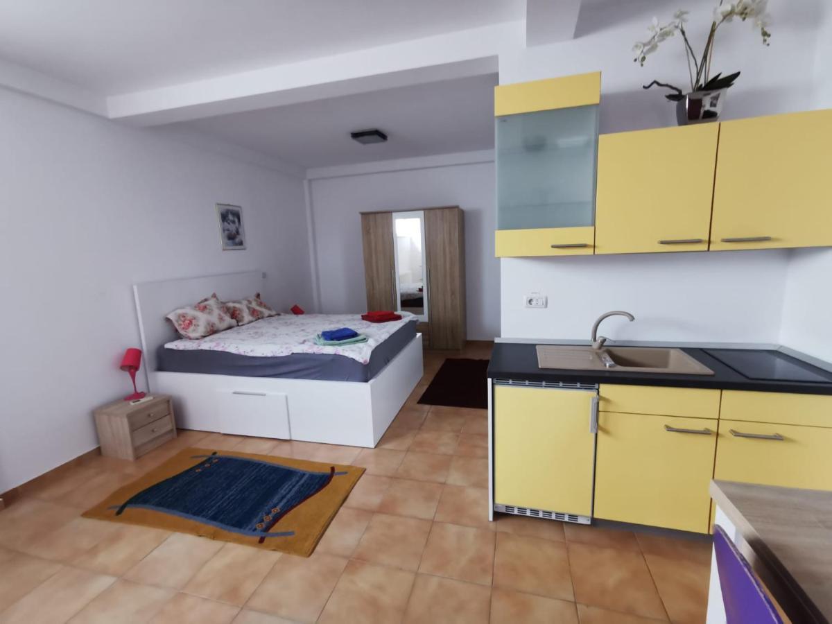 Fitness House With Garden Ξενοδοχείο Κονστάντζα Εξωτερικό φωτογραφία